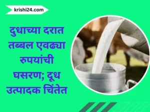 दुधाच्या दरात तब्बल एवढ्या रुपयांची घसरण