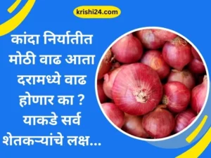 कांदा निर्यातीत मोठी वाढ , ...