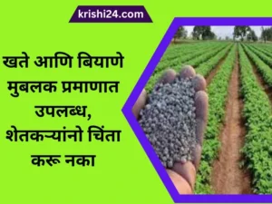 खते आणि बियाणे मुबलक प्रमाणात उपलब्ध, शेतकऱ्यांनो चिंता करू नका