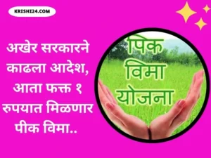 अखेर सरकारने काढला आदेश, आता फक्त १ रुपयात मिळणार पीक विमा..