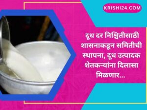 दूध दर निश्चितीसाठी शासनाकडून समितीची स्थापना, दूध उत्पादक शेतकऱ्यांना दिलासा मिळणार...