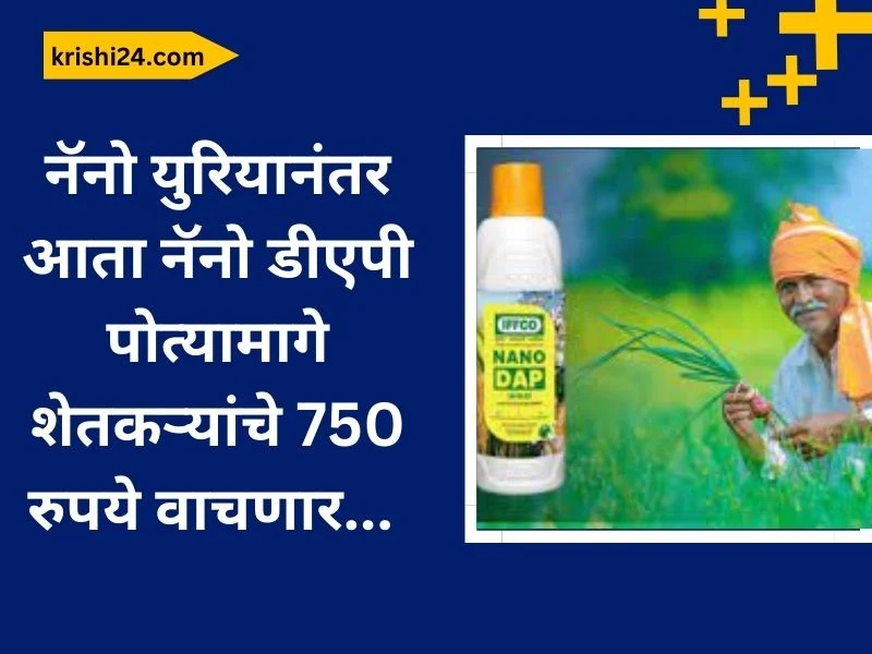 नॅनो युरियानंतर आता नॅनो डीएपी पोत्यामागे शेतकऱ्यांचे 750 रुपये वाचणार...