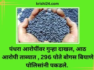 पंधरा आरोपींवर गुन्हा दाखल, आठ आरोपी ताब्यात , 296 पोते बोगस बियाणे पोलिसांनी पकडले. (1
