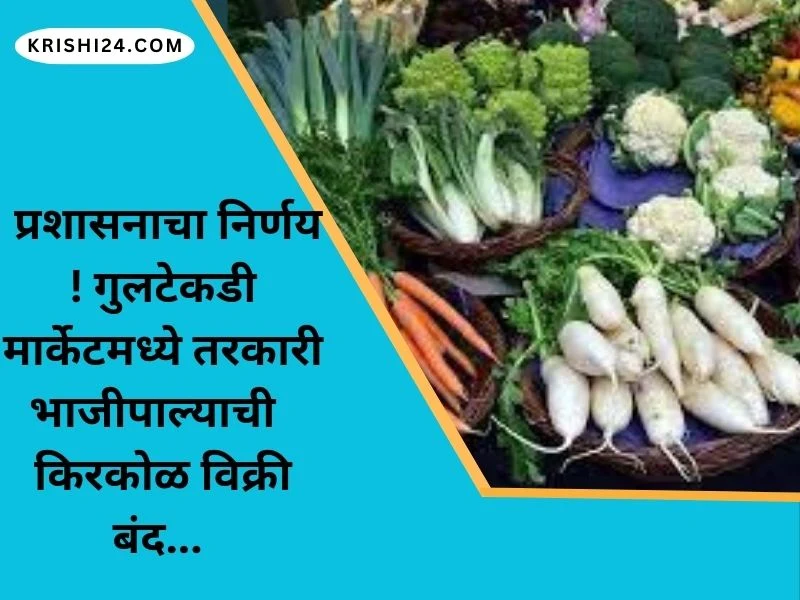 प्रशासनाचा निर्णय ! गुलटेकडी मार्केटमध्ये तरकारी भाजीपाल्याची किरकोळ विक्री बंद...