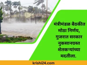 मंत्रीमंडळ बैठकीत मोठा निर्णय, गुजरात सरकार नुकसानग्रस्त शेतकऱ्यांच्या मदतीला.