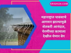महाराष्ट्रात पावसाचे आगमन झाल्यामुळे शेतकरी आनंदात