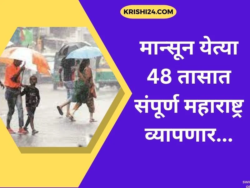 मान्सून येत्या 48 तासात संपूर्ण महाराष्ट्र व्यापणार