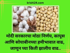 मोदी सरकारचा मोठा निर्णय, कापूस आणि सोयाबीनच्या हमीभावात वाढ, जाणून घ्या किती झालीय वाढ..