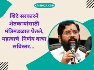 शिंदे सरकारने शेतकऱ्यांसाठी मंत्रिमंडळात घेतले महत्वाचे निर्णय वाचा सविस्तर...