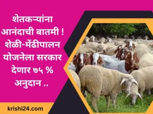 शेतकऱ्यांना आनंदाची बातमी ! शेळी-मेंढीपालन योजनेला सरकार देणार ७५ % अनुदान ..