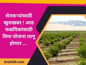 शेतकऱ्यांसाठी खुशखबर ! आठ फळपिकांसाठी विमा योजना लागू होणार .