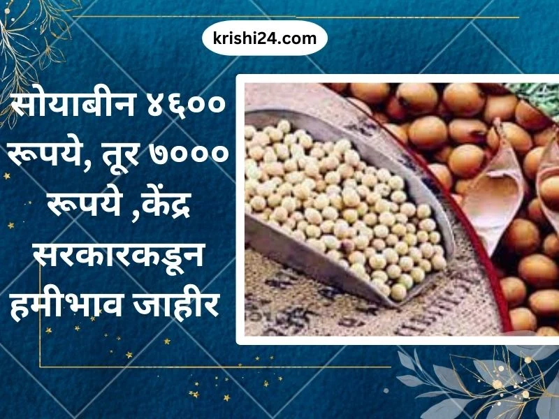 सोयाबीन ४६०० रूपये, तूर ७००० रूपये ,केंद्र सरकारकडून हमीभाव जाहीर