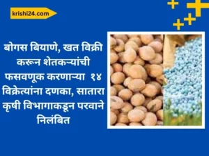 १४ विक्रेत्यांना दणका, सातारा कृषी विभागाकडून परवाने निलंबित