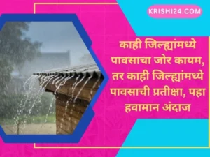 काही जिल्ह्यांमध्ये पावसाचा जोर कायम तर काही जिल्ह्यांमध्ये पावसाची प्रतीक्षा पहा आजचा हवामान अंदाज