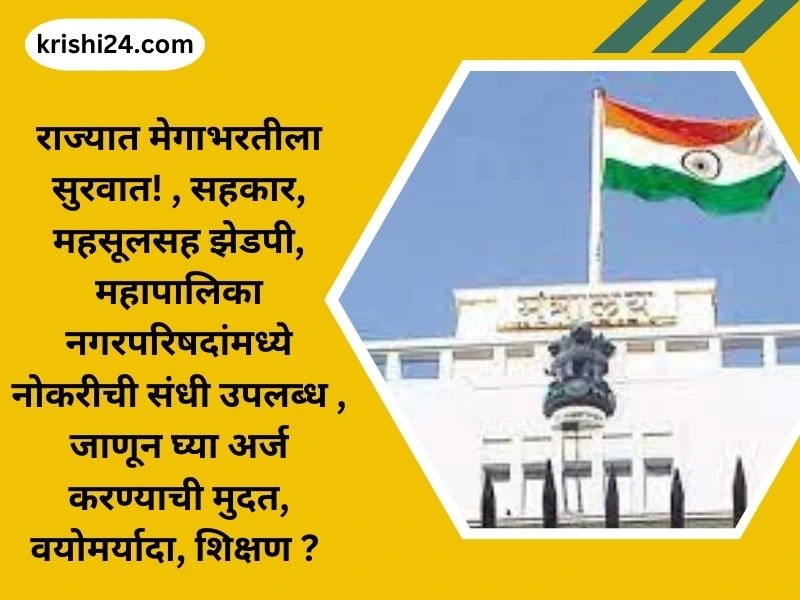 राज्यात मेगाभरतीला सुरवात! , सहकार, महसूलसह झेडपी, महापालिका नगरपरिषदांमध्ये नोकरीची संधी उपलब्ध , जाणून घ्या अर्ज करण्याची मुदत, वयोमर्यादा, शिक्षण ?