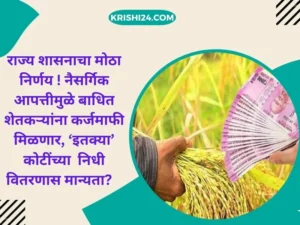 राज्य शासनाचा मोठा निर्णय ! नैसर्गिक आपत्तीमुळे बाधित शेतकऱ्यांना कर्जमाफी मिळणार ,‘इतक्या’ कोटींच्या निधी वितरणास मान्यता