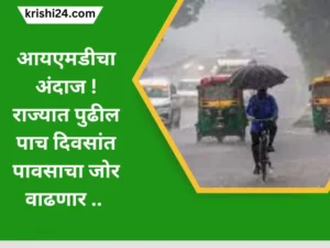 आयएमडीचा अंदाज ! राज्यात पुढील पाच दिवसांत पावसाचा जोर वाढणार ..