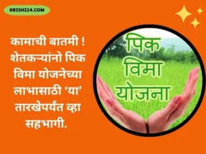 कामाची बातमी ! शेतकऱ्यांनो पिक विमा योजनेच्या लाभासाठी ‘या’ तारखेपर्यंत व्हा सहभागी.