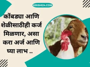 कोंबड्या आणि शेळीसाठीही कर्ज मिळणार, असा करा अर्ज आणि घ्या लाभ ..