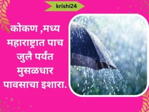 कोकण मध्य महाराष्ट्रात पाच जुलै पर्यंत मुसळधार पावसाचा इशारा1