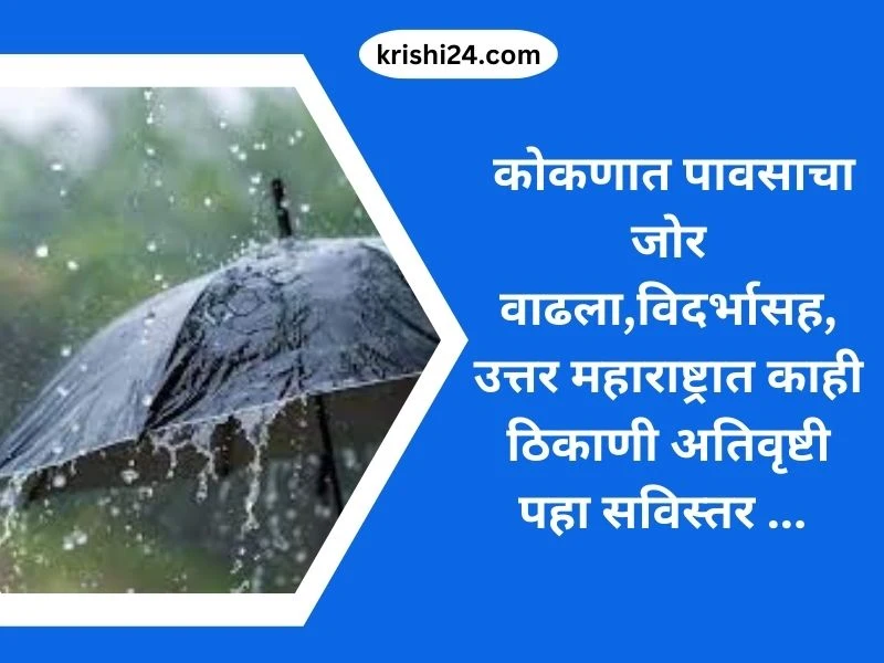 कोकणात पावसाचा जोर वाढला,विदर्भासह, उत्तर महाराष्ट्रात काही ठिकाणी अतिवृष्टी पहा सविस्तर ...