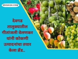 कोकणी उत्पादनांचा तयार केला ब्रँड