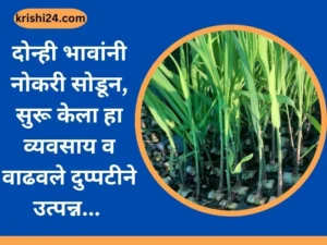 दोन्ही भावांनी नोकरी सोडून, सुरू केला हा व्यवसाय व वाढवले दुप्पटीने उत्पन्न...
