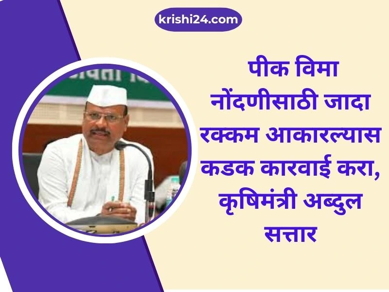 पीक विमा नोंदणीसाठी जादा रक्कम आकारल्यास कडक कारवाई करा, कृषिमंत्री अब्दुल सत्तार