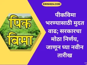 पीकविमा भरण्यासाठी मुदत वाढ; सरकारचा मोठा निर्णय, जाणून घ्या नवीन तारीख