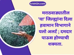 मराठवाड्यातील 'या' जिल्ह्यांना दिला हवामान विभागाने यलो अलर्ट ; दमदार पाऊस होण्याची शक्यता.
