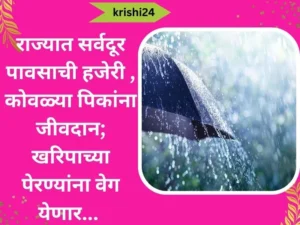 राज्यात सर्वदूर पावसाची हजेरी , कोवळ्या पिकांना जीवदान; खरिपाच्या पेरण्यांना वेग येणार... (2)