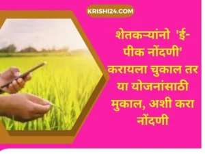 शेतकऱ्यांनो 'ई-पीक नोंदणी' करायला चुकाल तर या योजनांसाठी मुकाल, अशी करा नोंदणी