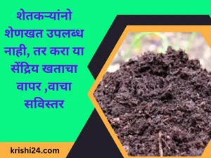 शेतकऱ्यांनो शेणखत उपलब्ध नाही, तर करा या सेंद्रिय खताचा वापर ,वाचा सविस्तर