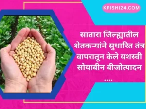 सातारा जिल्ह्यातील शेतकऱ्यांने सुधारित तंत्र वापरातून केले यशस्वी सोयाबीन बीजोत्पादन ....