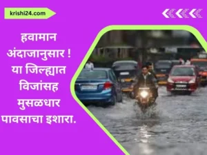 हवामान अंदाजानुसार या जिल्ह्यात विजांसह मुसळधार पावसाचा इशारा