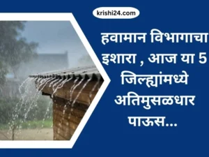 हवामान विभागाचा इशारा , आज या 5 जिल्ह्यांमध्ये अतिमुसळधार पाऊस...