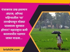 पंजाबराव डख हवामान अंदाज; ऑगस्ट महिन्यातील ‘या’ तारखेपासून मोठ्या पावसाला सुरुवात होणार? महाराष्ट्रात कमी कालावधीत पडणार जास्त पाऊस...