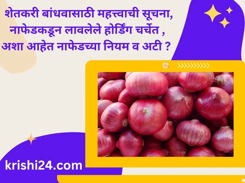 शेतकरी बांधवासाठी महत्त्वाची सूचना, नाफेडकडून लावलेले होर्डिंग चर्चेत , अशा आहेत नाफेडच्या नियम व अटी ?