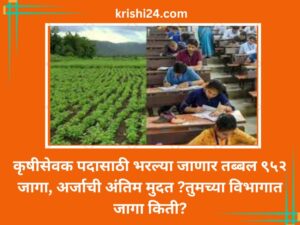 कृषीसेवक पदासाठी भरल्या जाणार तब्बल ९५२ जागा, अर्जाची अंतिम मुदत ?तुमच्या विभागात जागा किती?