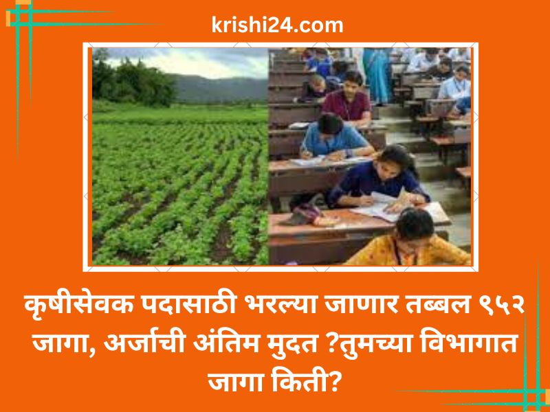 कृषीसेवक पदासाठी भरल्या जाणार तब्बल ९५२ जागा, अर्जाची अंतिम मुदत ?तुमच्या विभागात जागा किती?