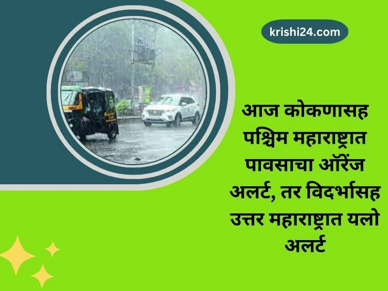 आज कोकणासह पश्चिम महाराष्ट्रात पावसाचा ऑरेंज अलर्ट, तर विदर्भासह उत्तर महाराष्ट्रात यलो अलर्ट