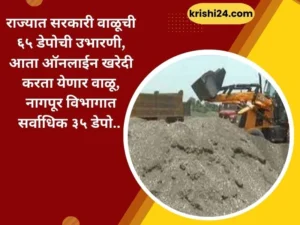 राज्यात सरकारी वाळूची ६५ डेपोची उभारणी, आता ऑनलाईन खरेदी करता येणार वाळू, नागपूर विभागात सर्वाधिक ३५ डेपो..