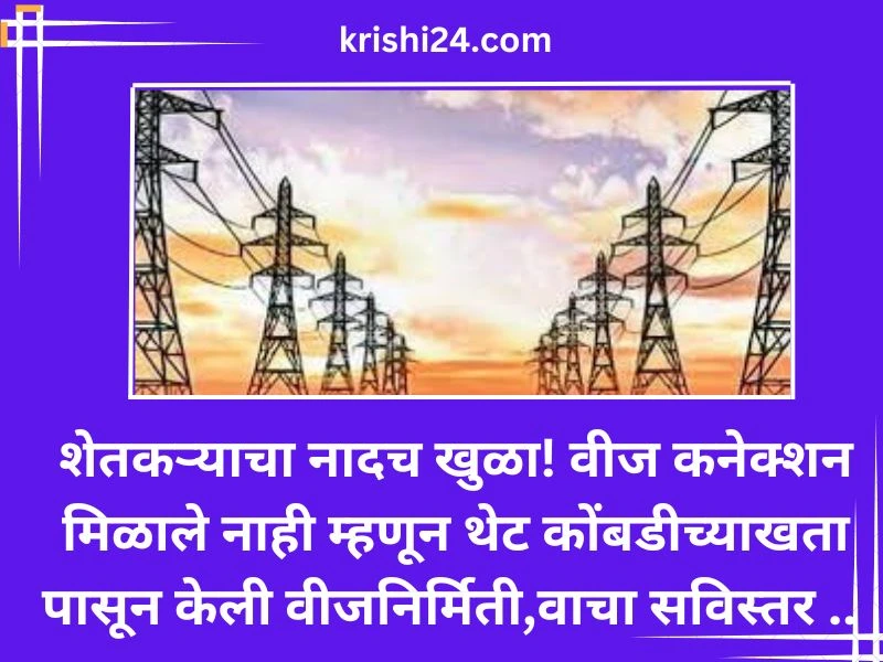 शेतकऱ्याचा नादच खुळा! वीज कनेक्शन मिळाले नाही म्हणून थेट कोंबडीच्याखता पासून केली वीजनिर्मिती,वाचा सविस्तर ..