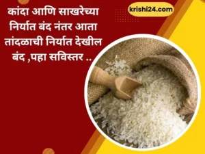 कांदा आणि साखरेच्या निर्यात बंद नंतर आता तांदळाची निर्यात देखील बंद ,पहा सविस्तर ..