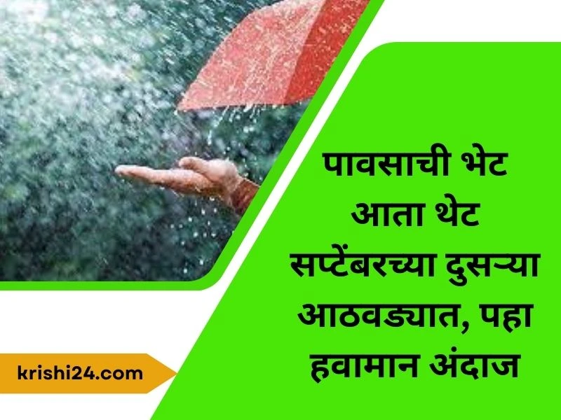 पावसाची भेट आता थेट सप्टेंबरच्या दुसऱ्या आठवड्यात पहा हवामान अंदाज