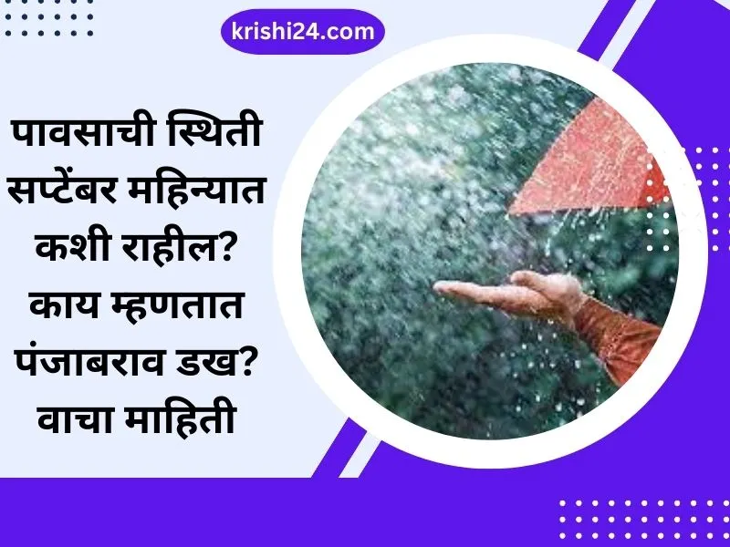 पावसाची स्थिती सप्टेंबर महिन्यात कशी राहील काय म्हणतात पंजाबराव डख वाचा माहिती