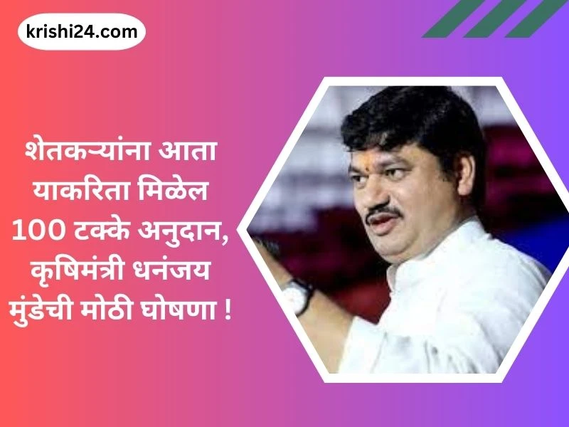 शेतकऱ्यांना आता याकरिता मिळेल 100 टक्के अनुदान, कृषिमंत्री धनंजय मुंडेची मोठी घोषणा ! वाचा माहिती...