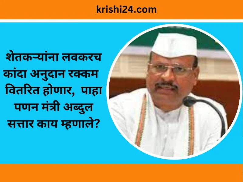 शेतकऱ्यांना लवकरच कांदा अनुदान रक्कम वितरित होणार, पाहा पणन मंत्री अब्दुल सत्तार काय म्हणाले