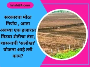 सरकारचा मोठा निर्णय , आता अवघ्या एक हजारात मिटवा शेतीचा तंटा; शासनाची ‘सलोखा’ योजना आहे तरी काय?