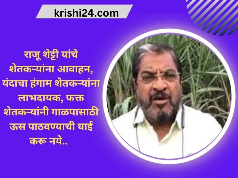 राजू शेट्टी यांचे शेतकऱ्यांना आवाहन, यंदाचा हंगाम शेतकऱ्यांना लाभदायक, फक्त शेतकऱ्यांनी गाळपासाठी ऊस पाठवण्याची घाई करू नये..